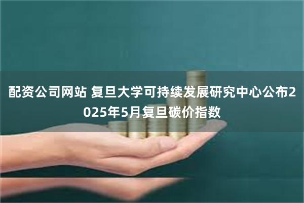 配资公司网站 复旦大学可持续发展研究中心公布2025年5月复旦碳价指数