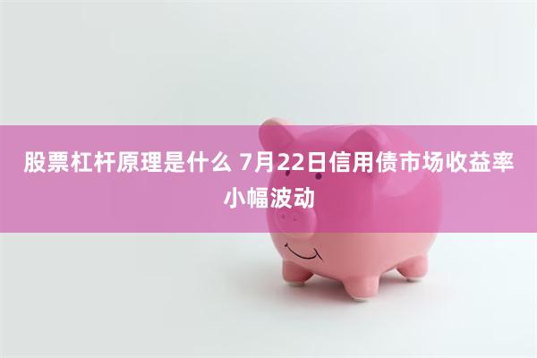 股票杠杆原理是什么 7月22日信用债市场收益率小幅波动