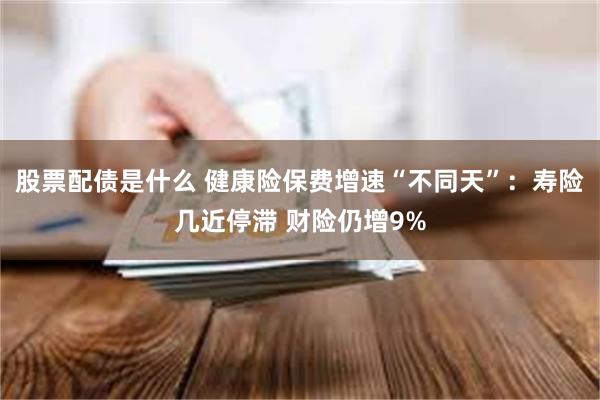 股票配债是什么 健康险保费增速“不同天”：寿险几近停滞 财险仍增9%